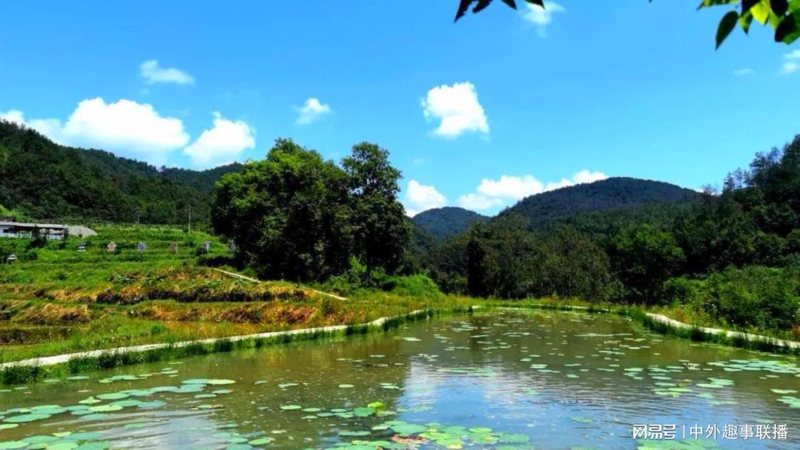 ks业务低价自助下单平台晨男