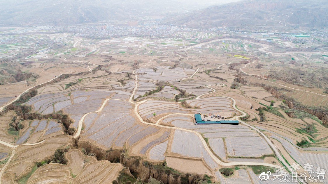 快速添加抖音粉丝专家