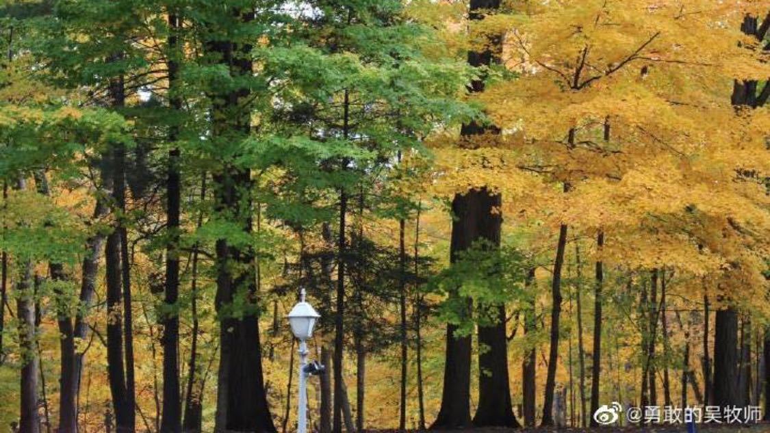 涨抖音涨赞最便宜平台：性价比自媒体辅助工具优选指南_0.5自助下单